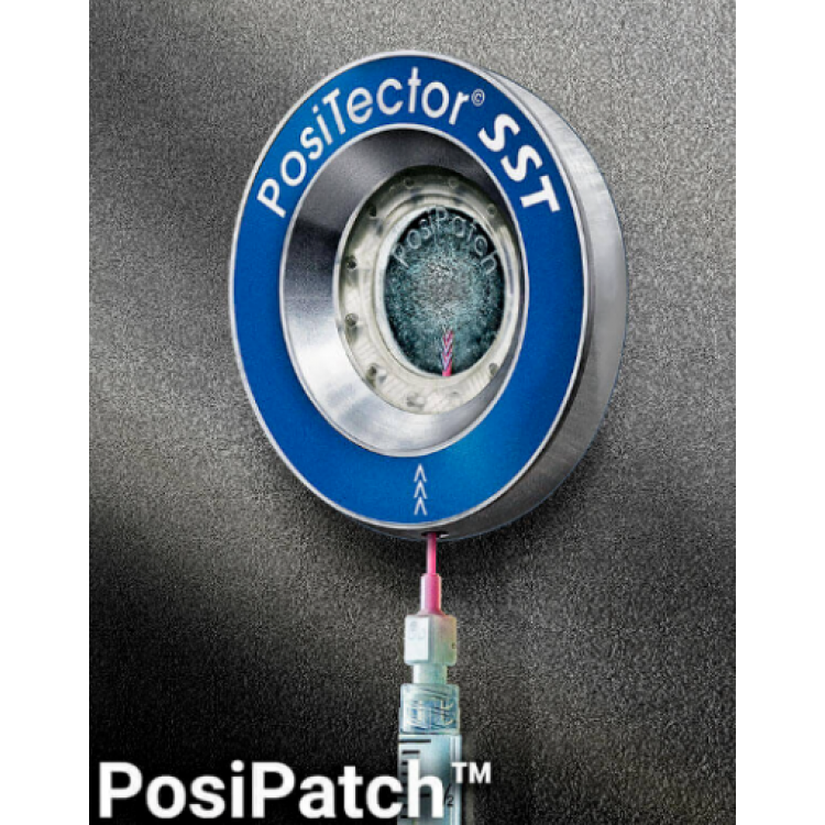 PosiTector SST Çözünür Tuz Test Cihazı | PosiTector SST Probe Only