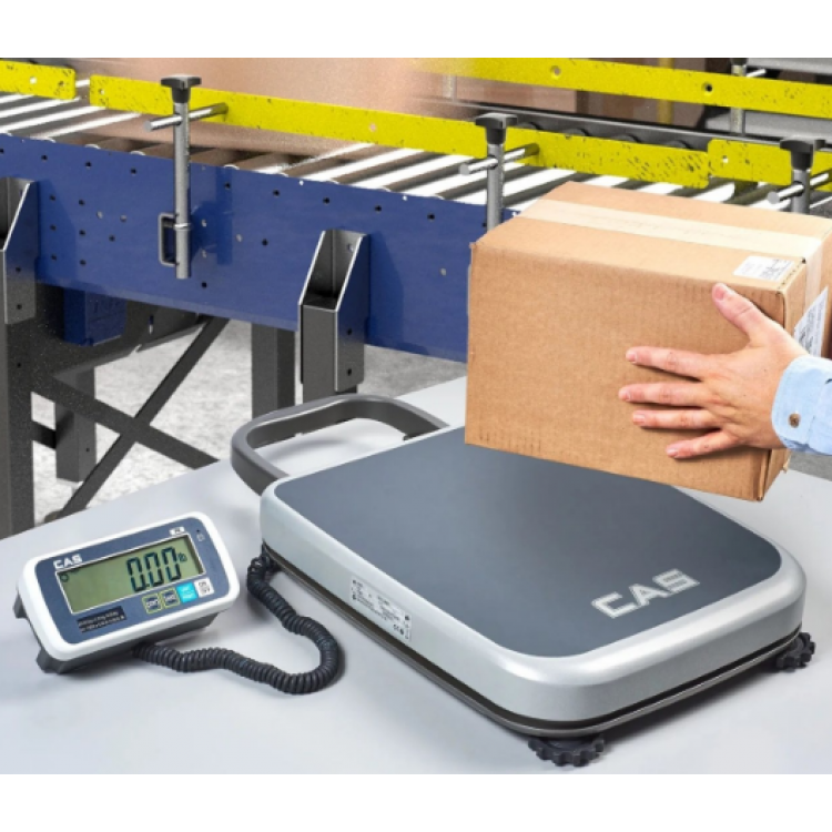 CAS PB II Hassas Terazi / 60 Kg- 20g  (Onaylı)